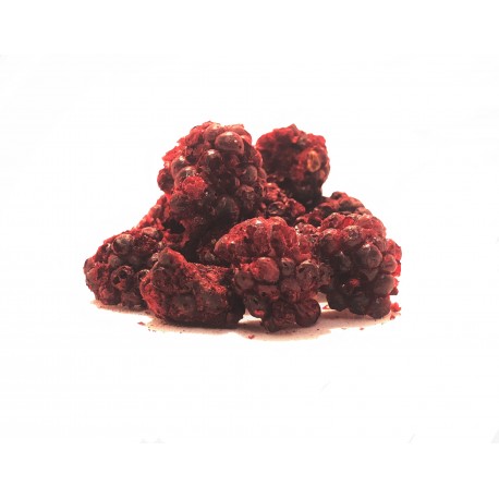 Freeze Dried Whole Blackberry