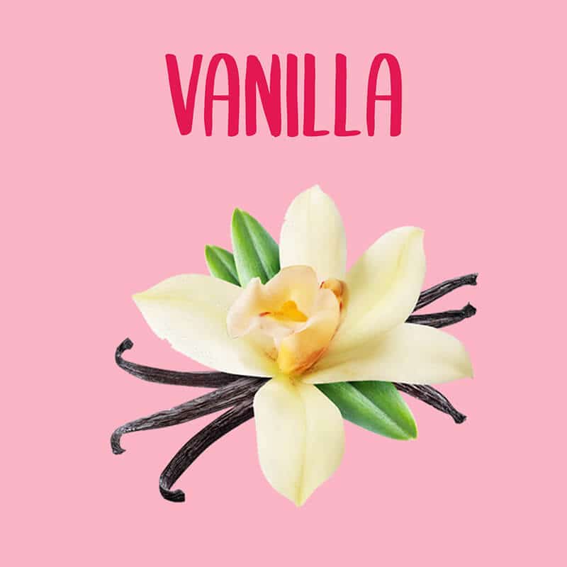 Vanilla