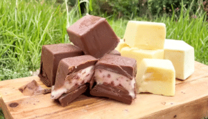 Chocolate Ice Cream Bites